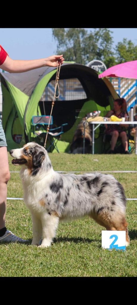 Tulou tagaloa te fiti du Jardin des Heliades - 2ème TP