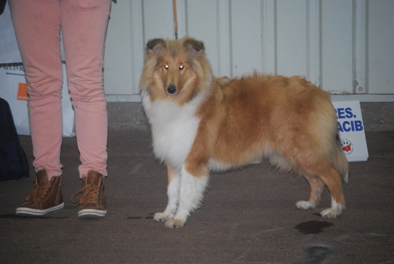 Illusion du Jardin des Heliades - Très prometteur