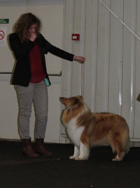 Illusion du Jardin des Heliades - 2eme EXCELLENTE