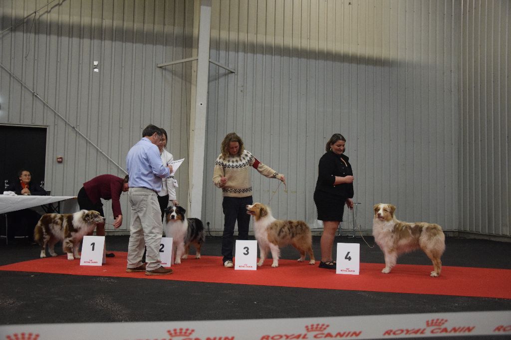 Nomios du Jardin des Heliades - 3 ème EXCELLENT