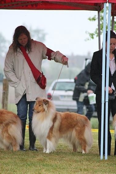 Illusion du Jardin des Heliades - 7ème EXC