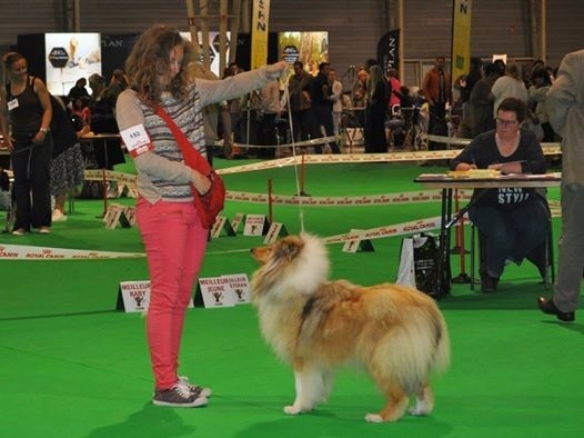 Jane austen du Jardin des Heliades - 2eme EXC