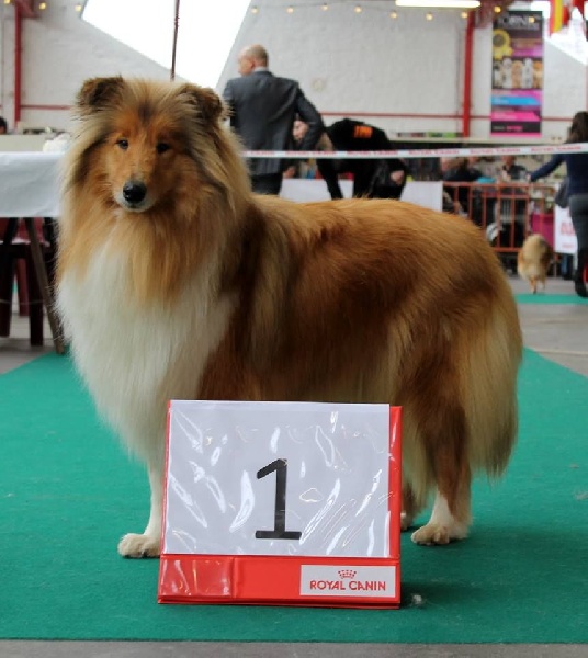 Illusion du Jardin des Heliades - 1ere EXC RCAC