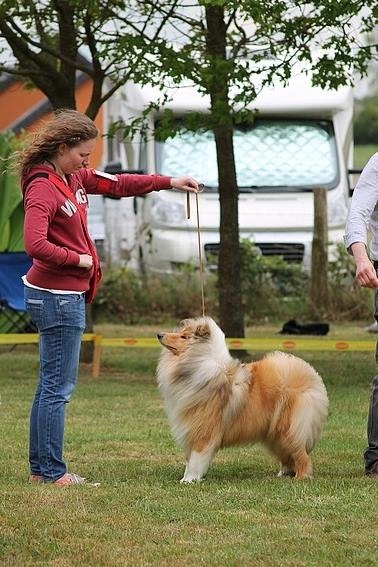 Jane austen du Jardin des Heliades - EXC