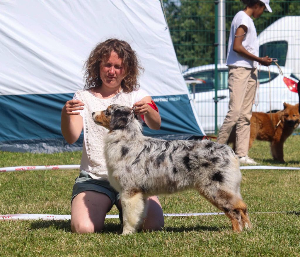 Tulou tagaloa tamatoa du Jardin des Heliades - Meilleur puppy