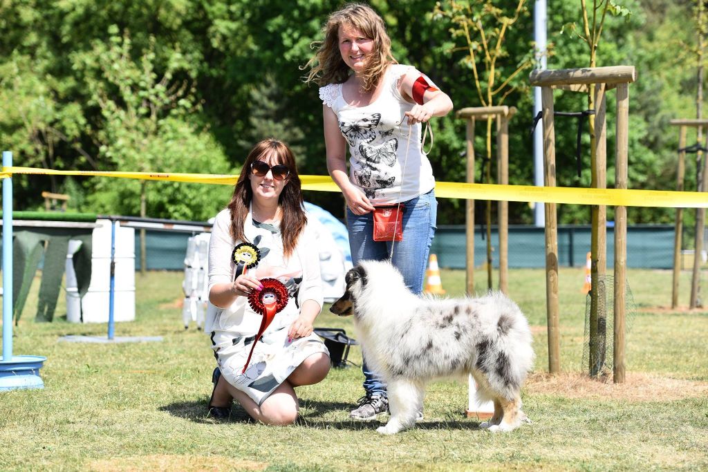 Mémoires d'une geisha du Jardin des Heliades - 1 er TP, Meilleur BABY, Meilleur BABY de l'expo