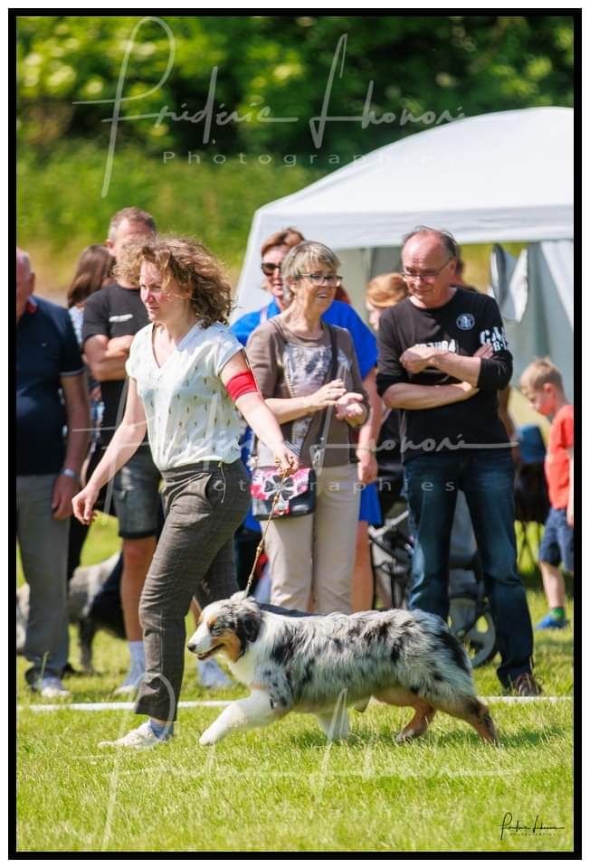 Tulou tagaloa te fiti du Jardin des Heliades - Meilleur puppy