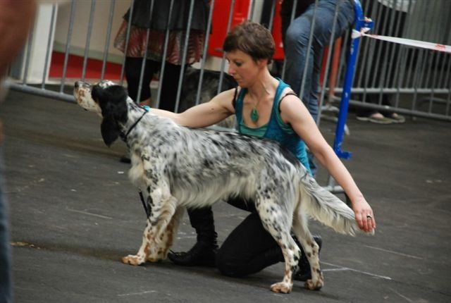 Delano-roosevelt du champ Bocquillon - 3ème Excellent