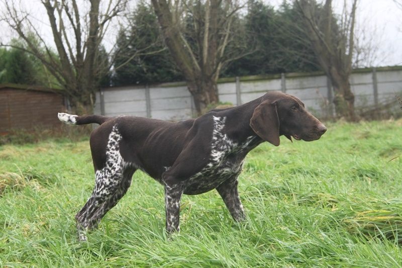 Publication : des Mannes Fleuries