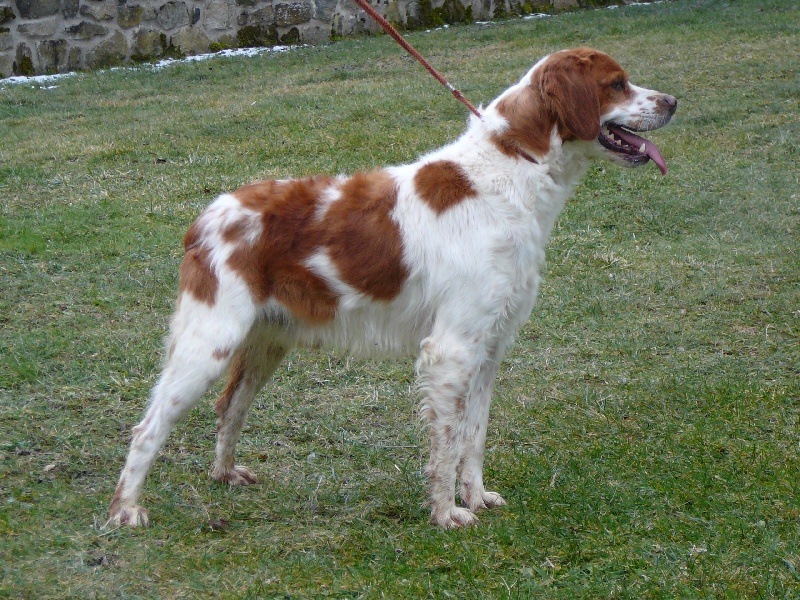 Publication : des Hautes Clauzes Auteur : RAFFIER Guy