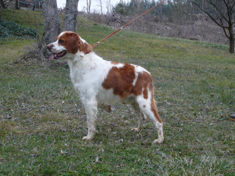 Publication : des Hautes Clauzes Auteur : RAFFIER Guy