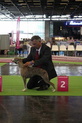 Publication : du haras d'hélios