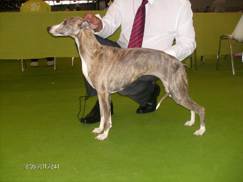 Publication : du haras d'hélios