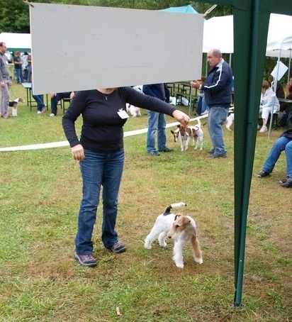 Full monty de la Vallée Vertoise - TRES PROMETTEUR