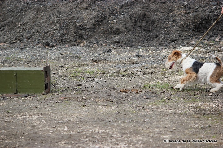 Full monty de la Vallée Vertoise - 9ème 80 points