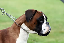 Publication : de la Verdière