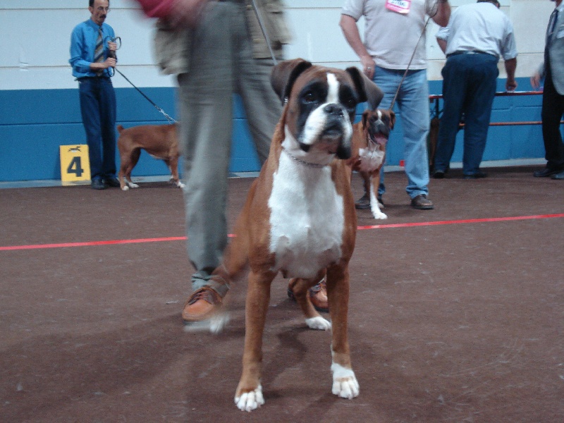 Publication : de la Verdière