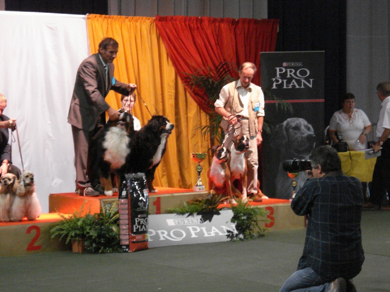 Publication : de la Verdière