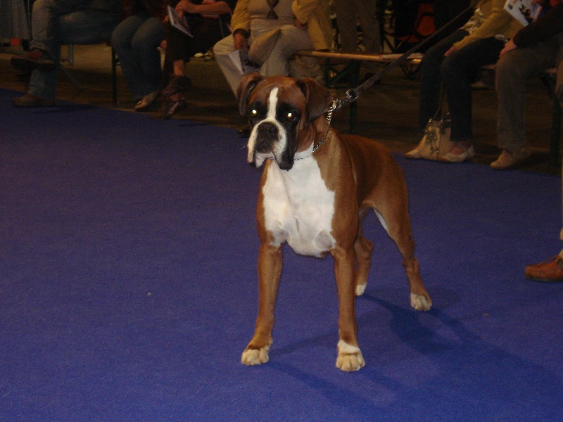 Publication : de la Verdière