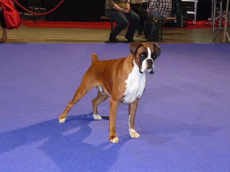 Publication : de la Verdière