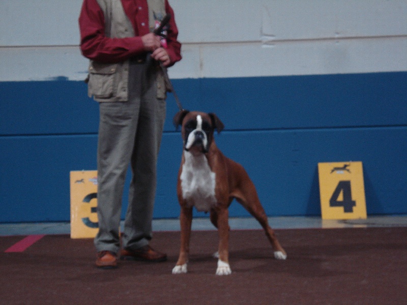 Publication : de la Verdière