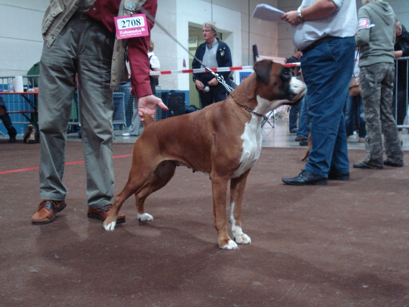 Publication : de la Verdière