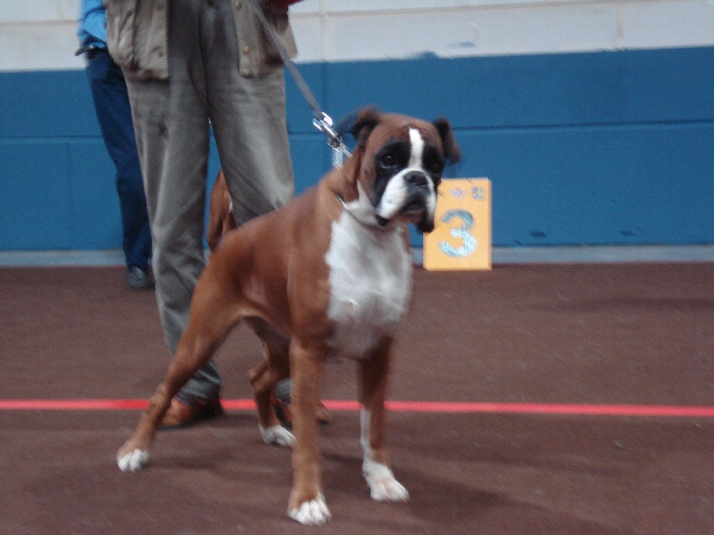 Publication : de la Verdière