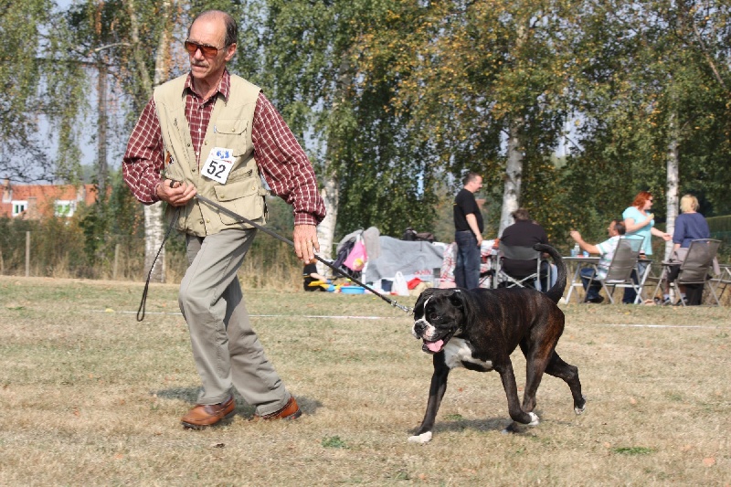 Haltesse manoir de la Verdière - 1ère Excellent + CCC + Princesse + Meilleur Jeune