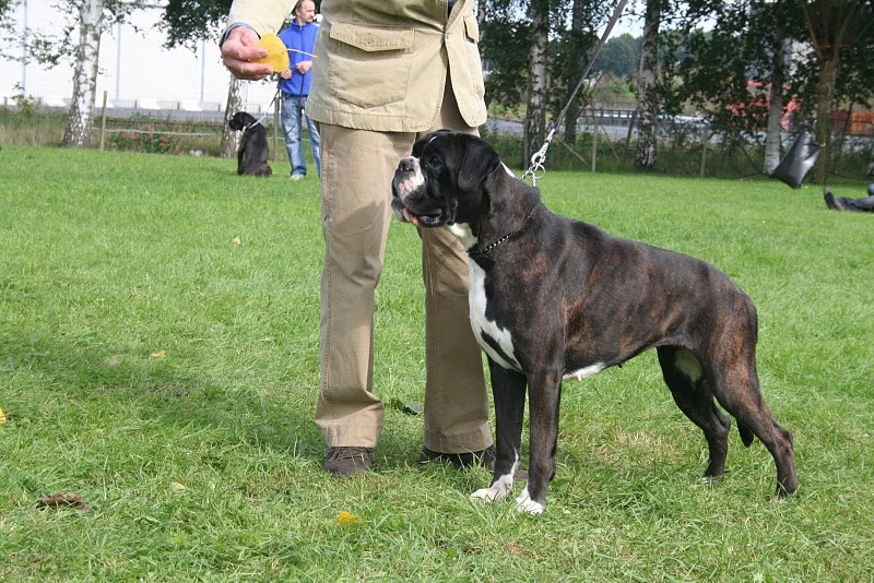 Haltesse manoir de la Verdière - 1er Excellent + CCC