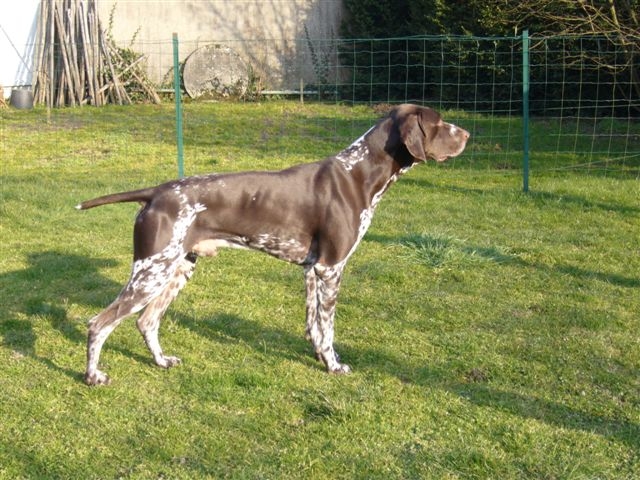 Publication : de la Pointe au Pairon