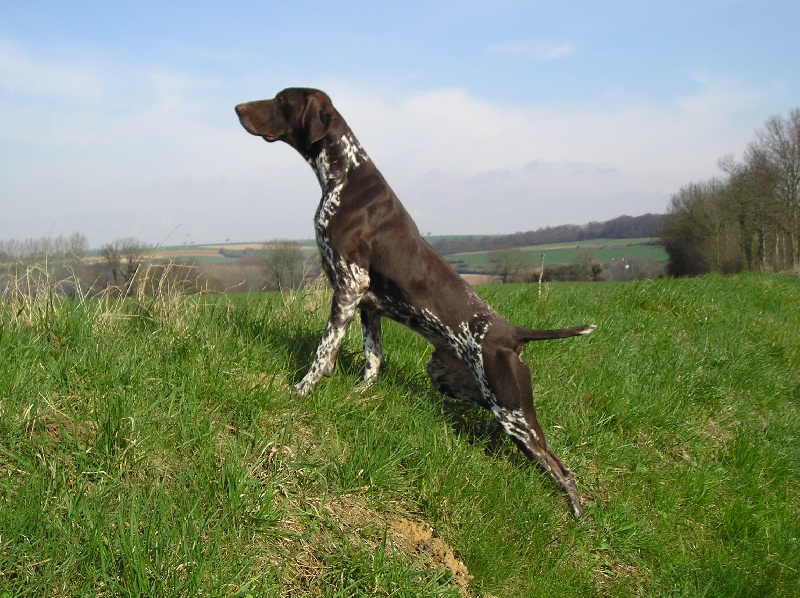 Publication : de la Pointe au Pairon