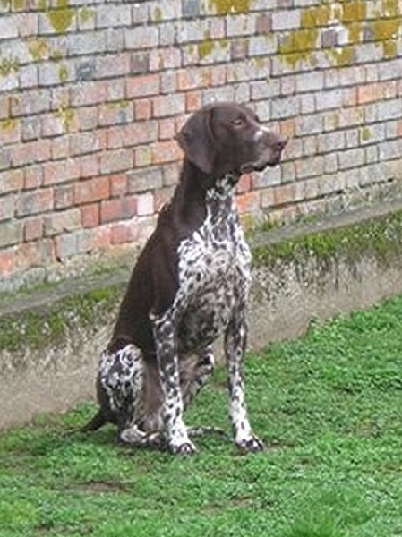 Publication : de la Pointe au Pairon