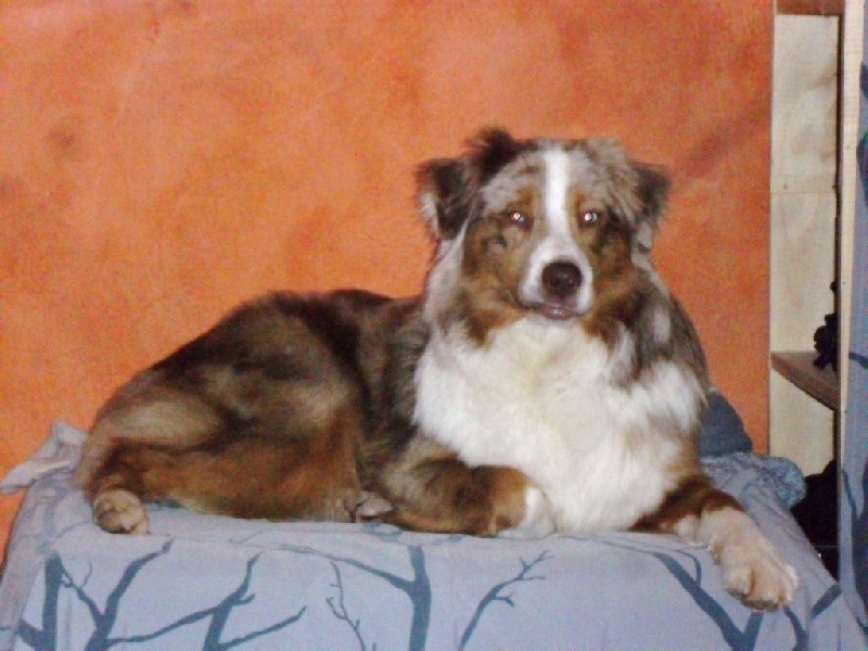 Publication : du Domaine de Naugigoutte Auteur : SV