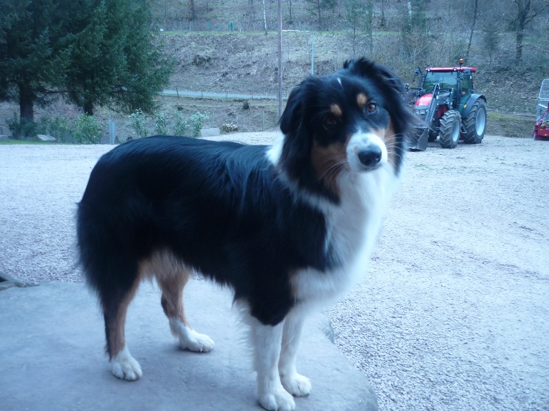 Publication : du Domaine de Naugigoutte Auteur : sc