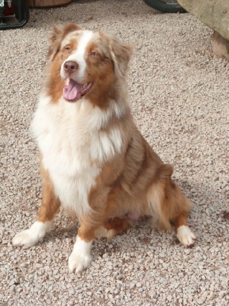 Publication : du Domaine de Naugigoutte Auteur : SV