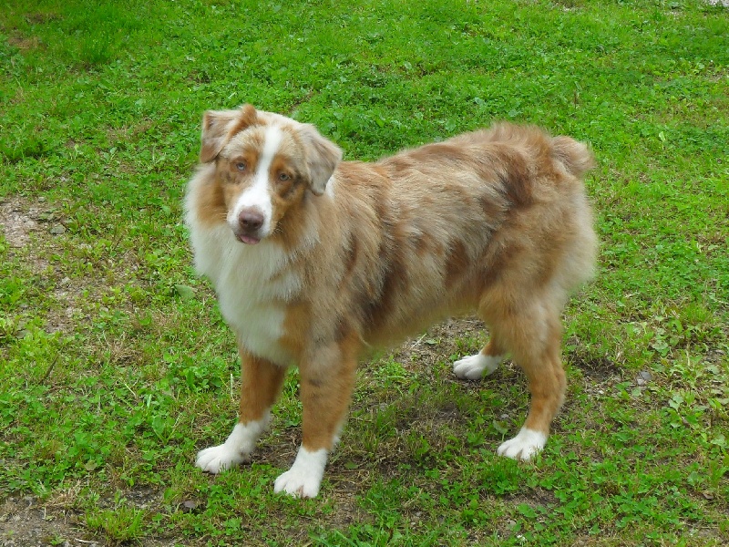 Publication : du Domaine de Naugigoutte Auteur : SV