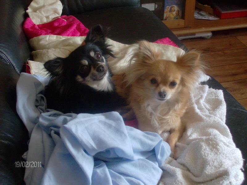 éyota du Ranch des Petits Indiens