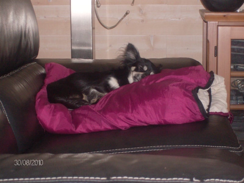 éyota du Ranch des Petits Indiens