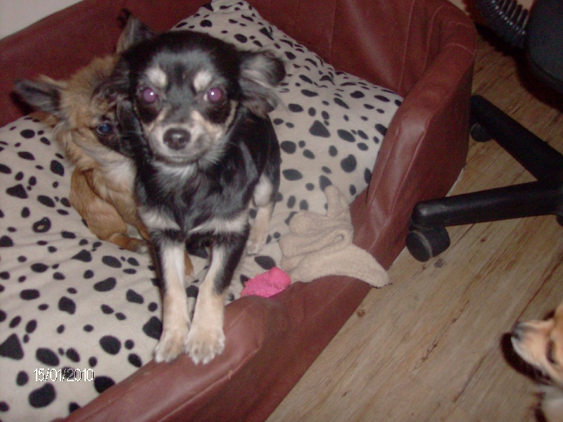 éyota du Ranch des Petits Indiens