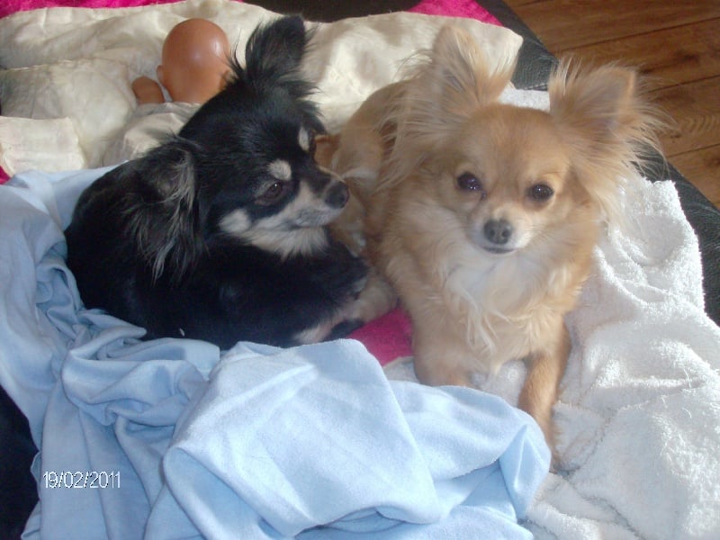 éyota du Ranch des Petits Indiens