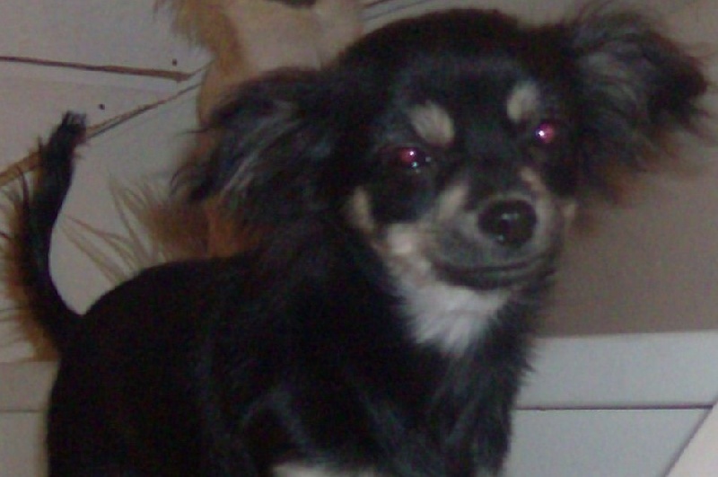 éyota du Ranch des Petits Indiens