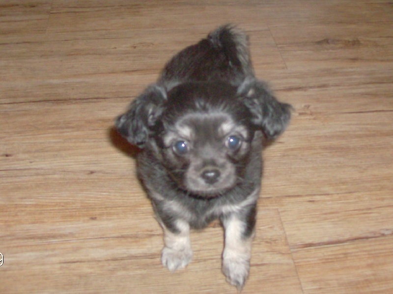 éyota du Ranch des Petits Indiens