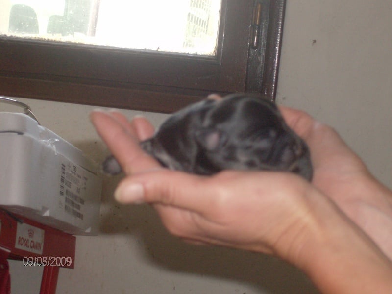 éyota du Ranch des Petits Indiens