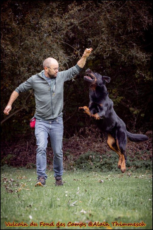 Vulcain du fond des  camps