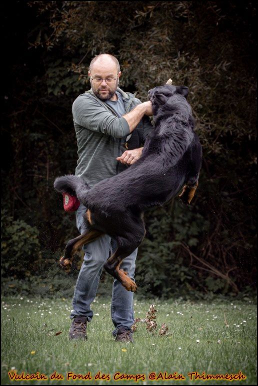 Vulcain du fond des  camps