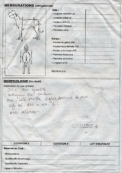 Oups argentée du Fond des Camps - Excellent + & Cotation 4