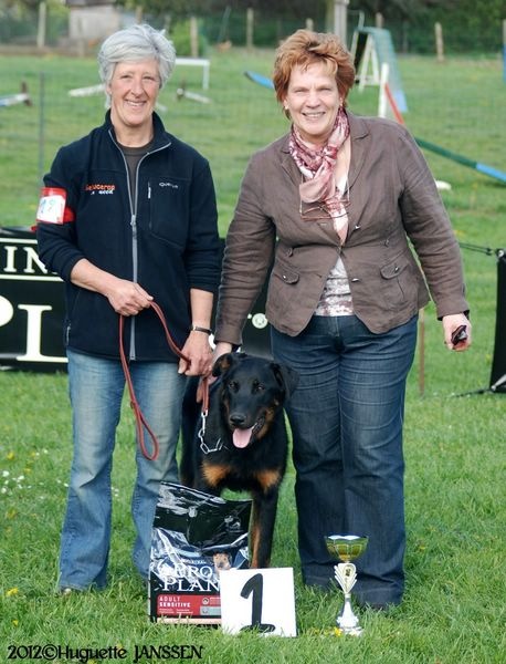 CH. Kokkaï du Fond des Camps - 1e Excellent - Meilleur Jeune - BOB