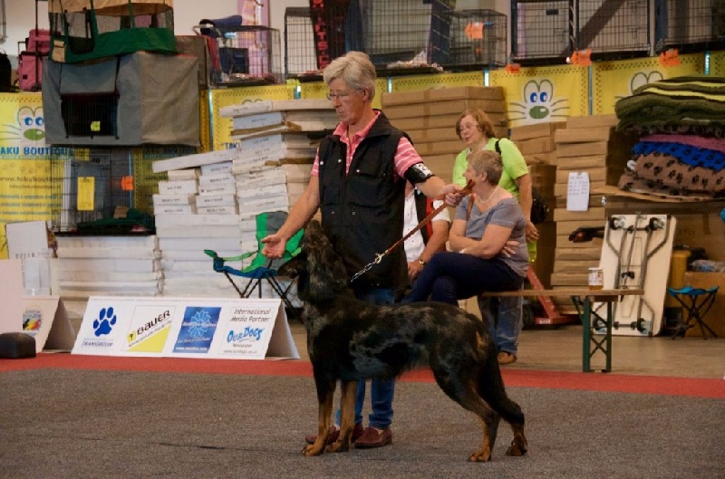 Oups argentée du Fond des Camps - 1e Excellent & CAC