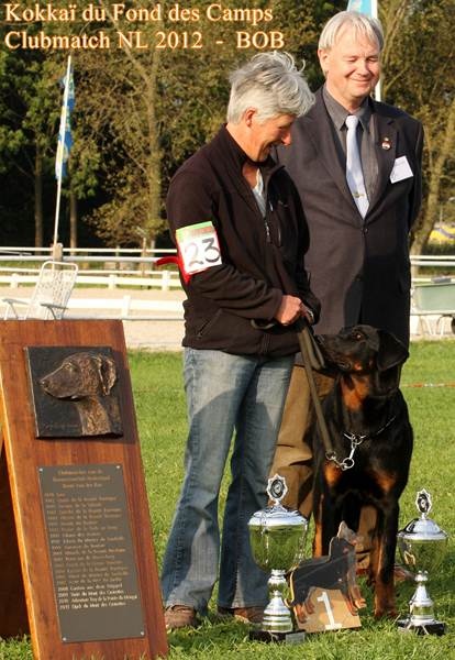 CH. Kokkaï du Fond des Camps - 1e Excellent - Meilleur Jeune - CAC - BOB