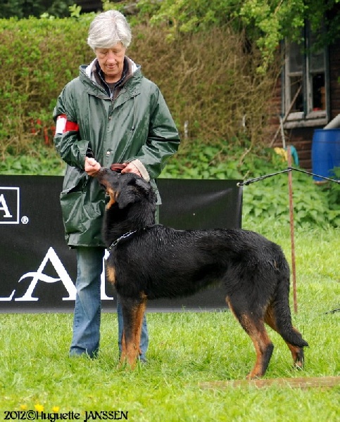 CH. Kokkaï du Fond des Camps - 3e Très Prometteur